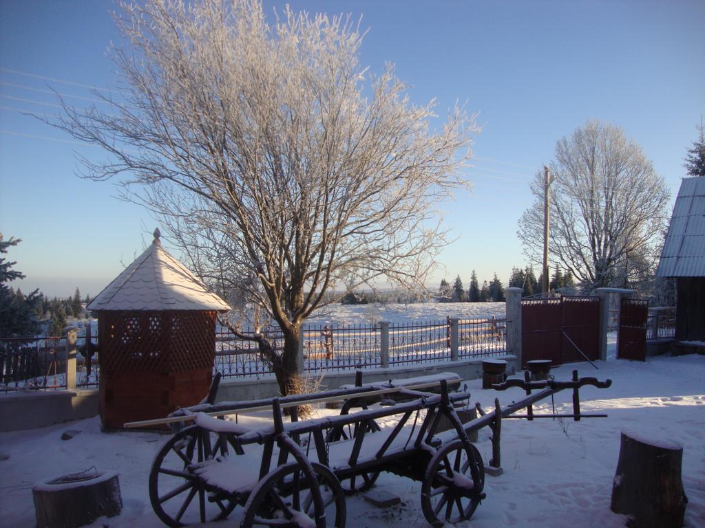 Pension Doru Belis Exterior photo